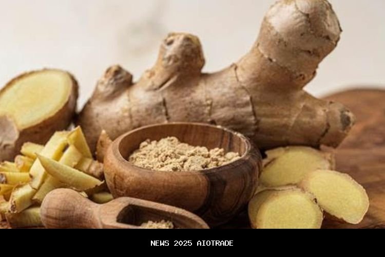 Manfaat Rimpang Dr. Zaidul Akbar untuk Kesehatan Reproduksi dan Imunitas Tubuh