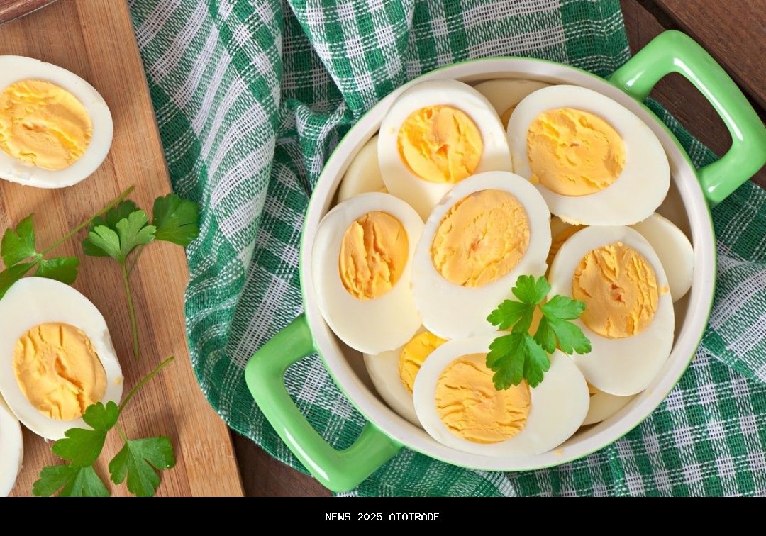 Telur Rebus atau Omelet: Mana yang Lebih Sehat untuk Sarapan Sehat?