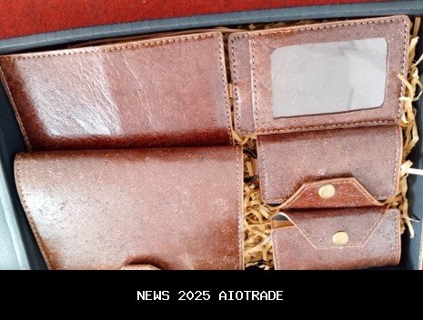 Kreativitas Mahasiswa STMIK Komputama Cilacap Ciptakan Alat Semprot Hama Otomatis, Ideal untuk Perke