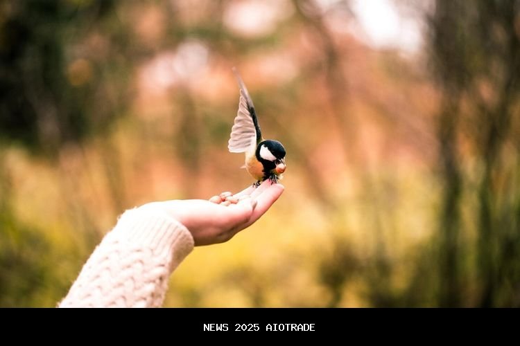 Membuka Kunci Kehidupan Ringan: 8 Aspek yang Lebih Mudah Setelah Melepaskan