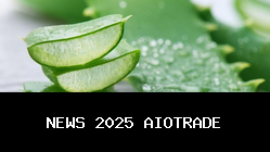 7 Manfaat Lidah Buaya untuk Kesehatan dan Kecantikan yang Harus Dicoba!