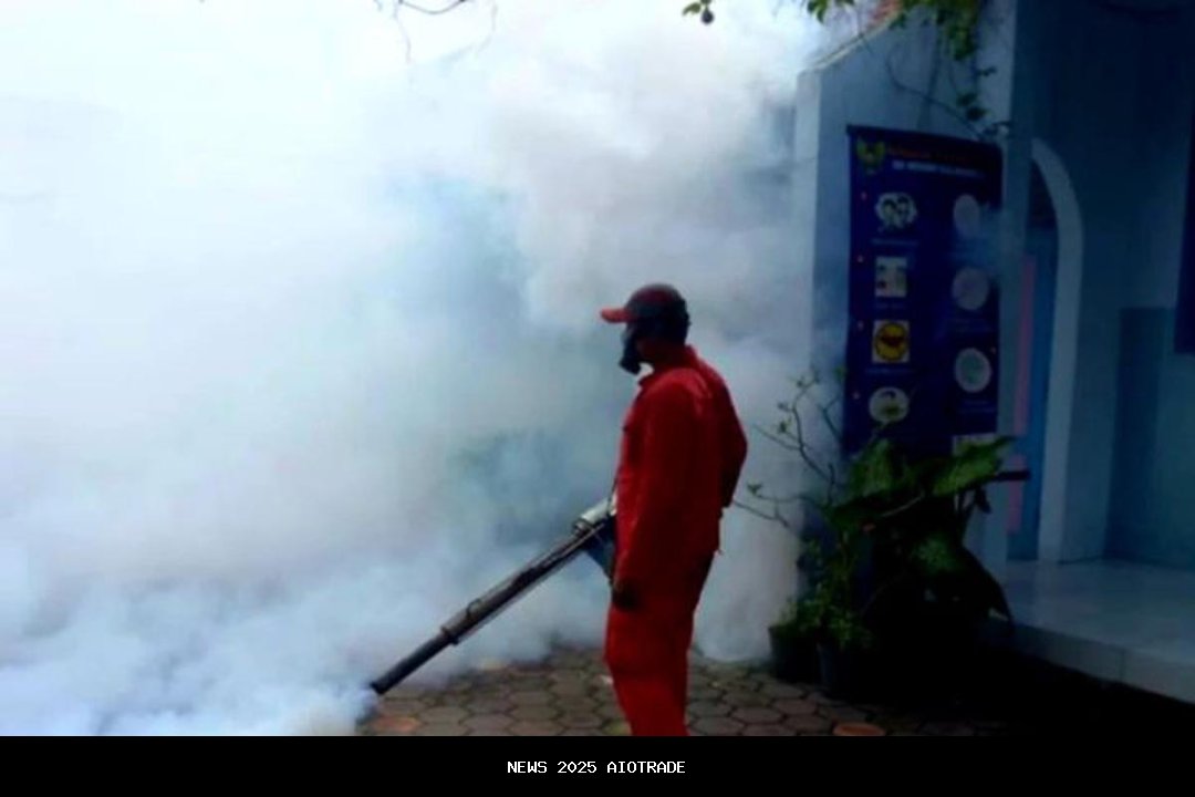 Dinkes Sabu Raijua Laporkan 461 Kasus DBD Pada Januari-Juli 2025