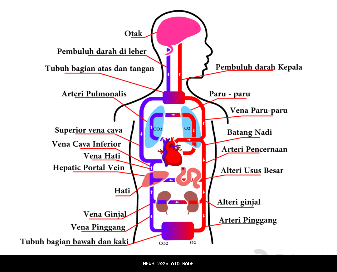 Tubuh Manusia Menghadapi Batasan Gerak dan Fungsi