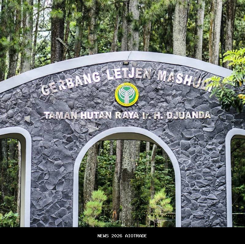 Nikmati Ketenangan Tahura Djuanda Bandung untuk Melepas Lelah