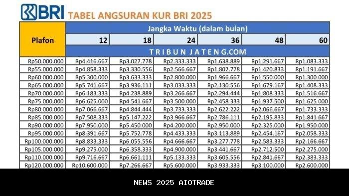 Dokumen KUR BRI 2025: Syarat UMKM dan Cara Daftar Langsung ke Cabang