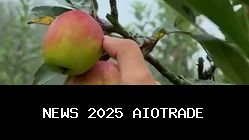 14 Destinasi Wisata Terpopuler Jawa Timur 2025: Tiket, Lokasi, dan Jadwal