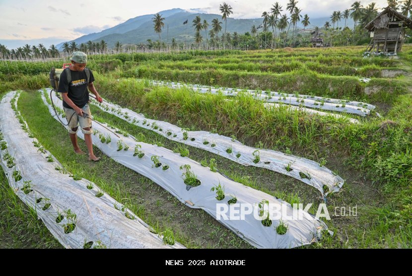 Pemerintah Siapkan 7 Pabrik Pupuk Baru, Harga Turun 20 Persen