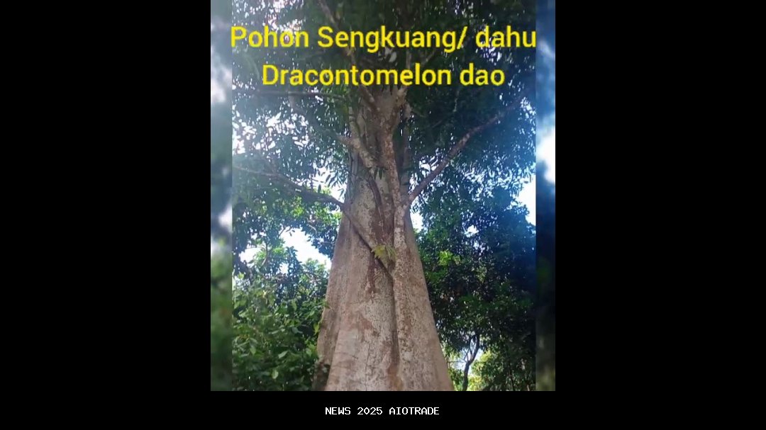 Viral! Rumah Denny Caknan Jadi Pusat COD Ngawi, WiFi Gratis Langsung Dipasang