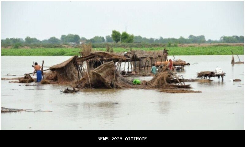 Banjir yang tak kenal lelah menghancurkan Punjab dan Sindh, rumah-rumah dan tanaman pertanian hancur