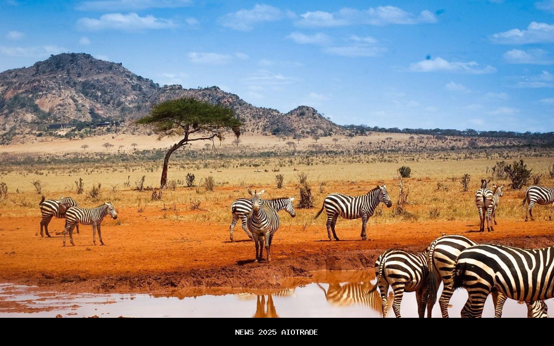 Kenya Aquatics akan memperkenalkan tingkatan yang terstruktur bagi pelatih dan pejabat