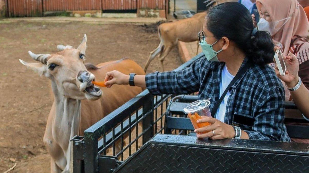 Harga Tiket Jatim Park 2 2025 Terbaru