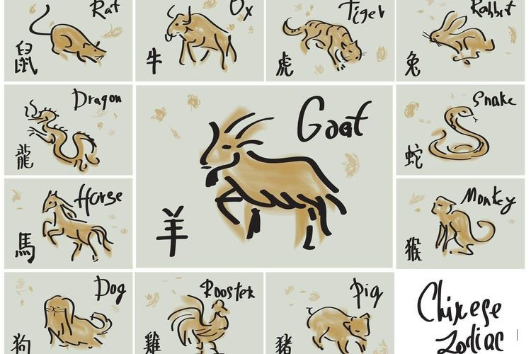 Ramalan Shio Hari Ini: Naga, Ular, Kuda, Kambing, Anjing, dan Babi