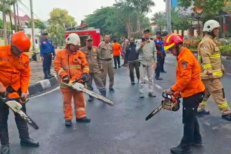 Antisipasi Banjir dan Pohon Tumbang, BPBD Surabaya Simulasi Darurat di 26 Titik