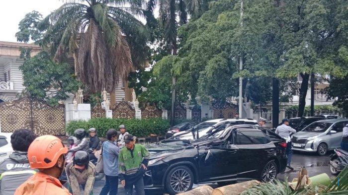 Mobil Lexus Remuk, Pria Paruh Baya Tewas Tertimpa Pohon Tumbang di Pondok Indah