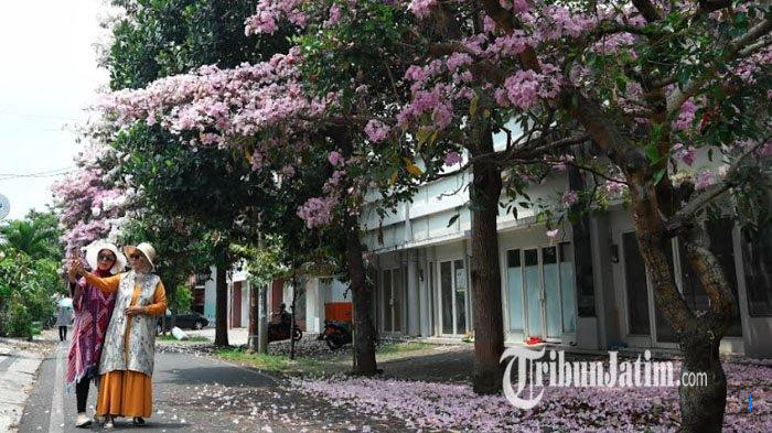 Prakiraan Cuaca Jawa Timur 25 Oktober 2025: Hujan Ringan dan Berawan