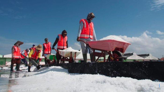 Produksi Garam PT Garam di Sampang Turun Akibat Cuaca Ekstrem, Target 150 Ribu Ton Terancam Gagal