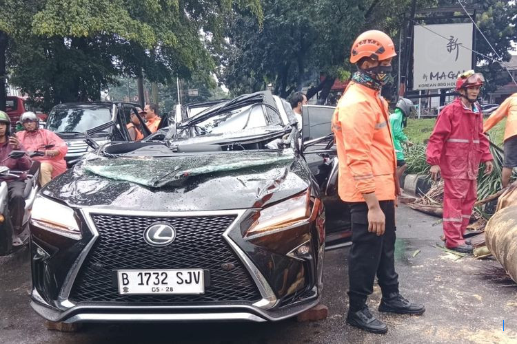 Pengemudi Lexus Tewas Saat Dievakuasi Usai Tertimpa Pohon di Pondok Indah