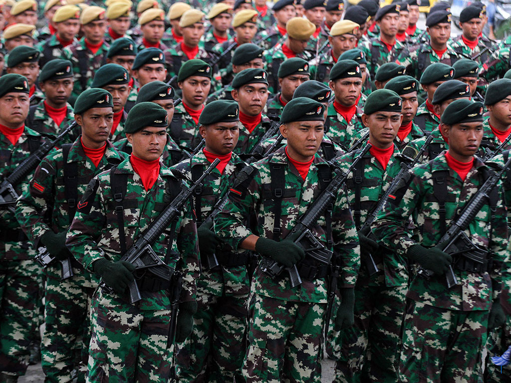TNI Amankan 740 Pohon Ganja di Pegunungan Bintang Papua