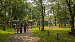 5 Tempat Wisata Seru Jatim 2025 yang Cocok untuk Keluarga dan Bikin Anak Gembira!