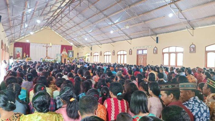 Renungan Katolik Harian Sabtu 25 Oktober 2025, "Biarkan Pohon Ini Tumbuh Lagi"