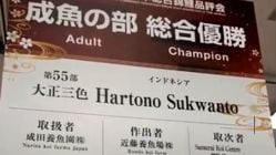 Pemilik Koi Hartono Soekwanto Berpeluang Juara Empat Kali di World Nishikigoi Club Show 2025