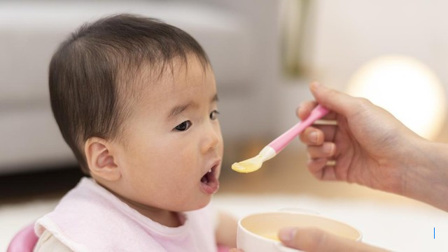 7 Resep Nasi Tim Sehat untuk Bayi 8 Bulan