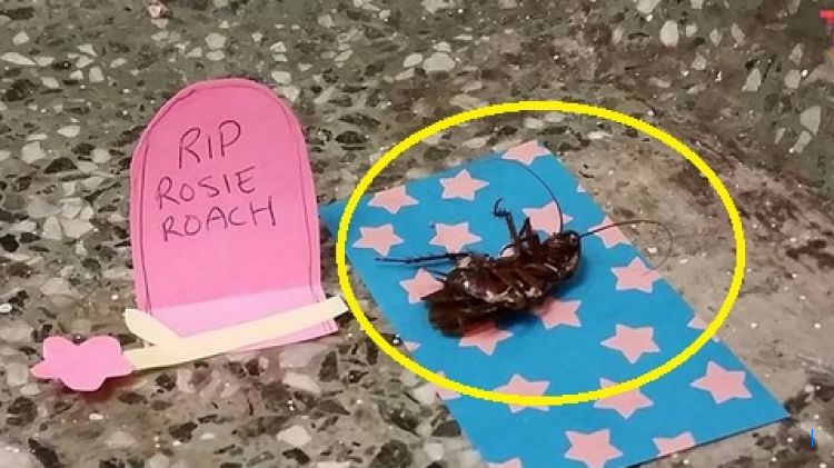 Sedih, Rekan Sejawat Berduka Atas Kematian "Eumpang Breueh"