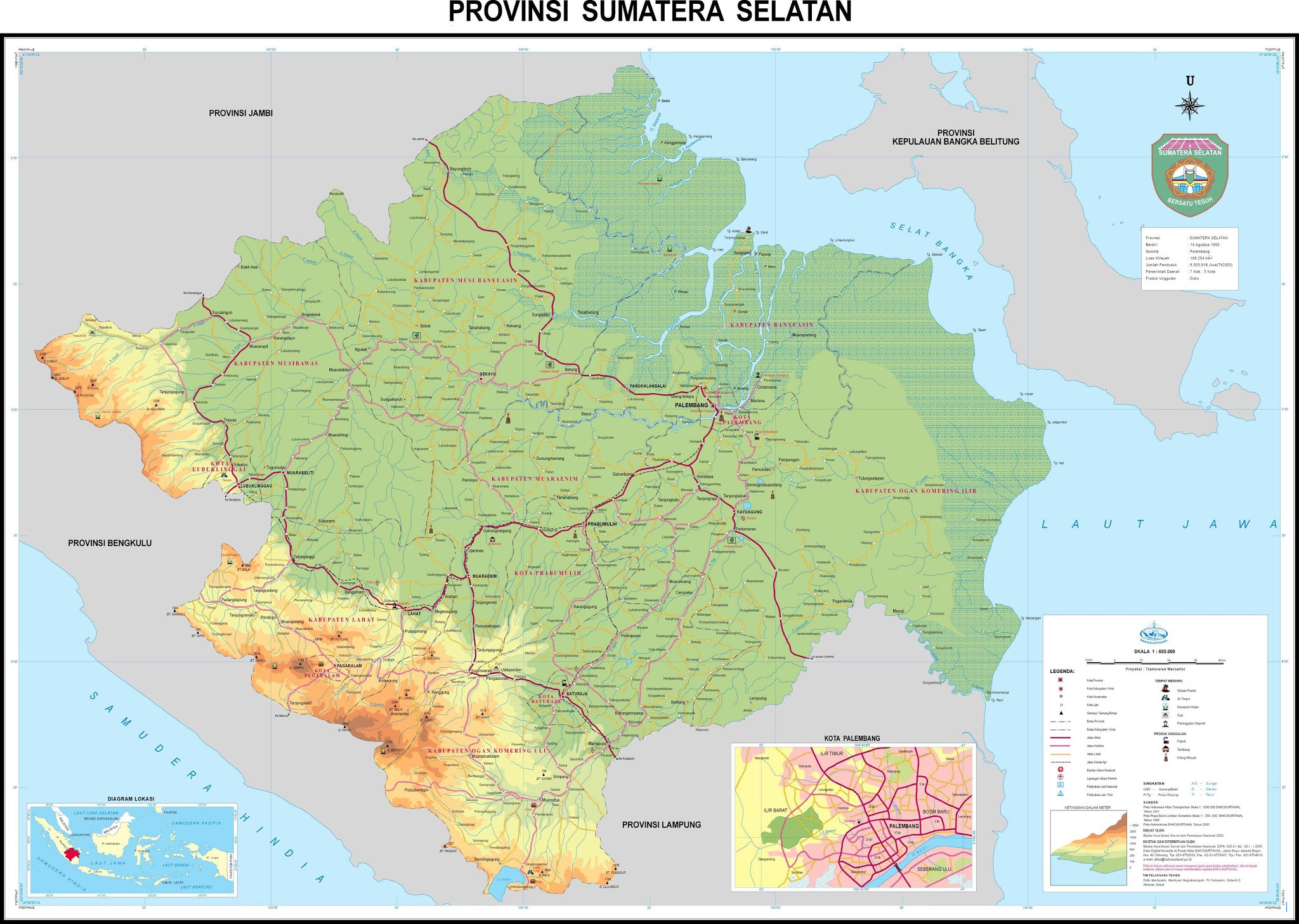 Sumsel United Kalah dari Adhyaksa FC, Nil Maizar Kecewa dengan Keputusan Wasit