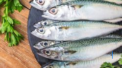 6 Cara Pilih Ikan Segar Tanpa Pengawet, Perhatikan Mata dan Aroma