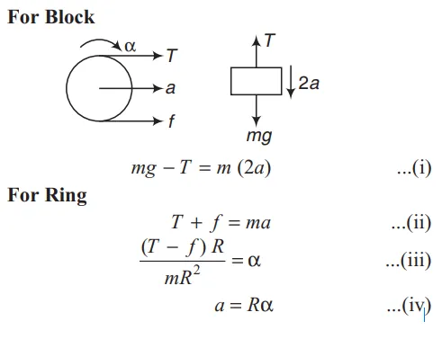Momen Haru Penyelamatan Anak Kucing di Reruntuhan Kebakaran Baru Ilir