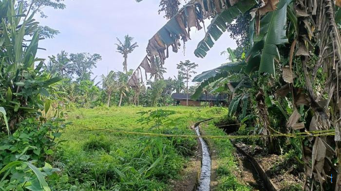 Buru Pembunuh Mandor di Gianyar, Luka Terbuka dan Gergaji Jadi Petunjuk Kuat
