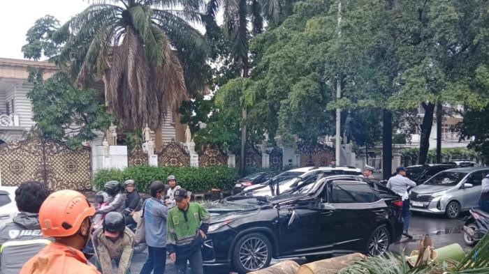 Pohon Tumbang Hancurkan SUV Lexus, Satu Orang Tewas di Jakarta Selatan