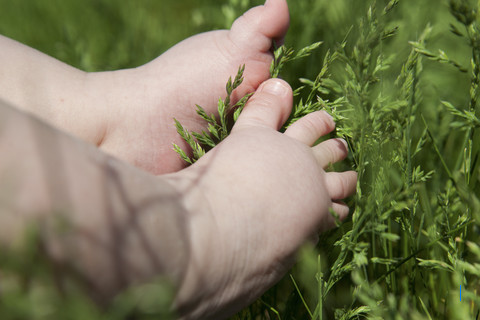 Mayat Bayi Tersembunyi di Ransel di Pinggir Sawah Karawang: Mulut Dilakban