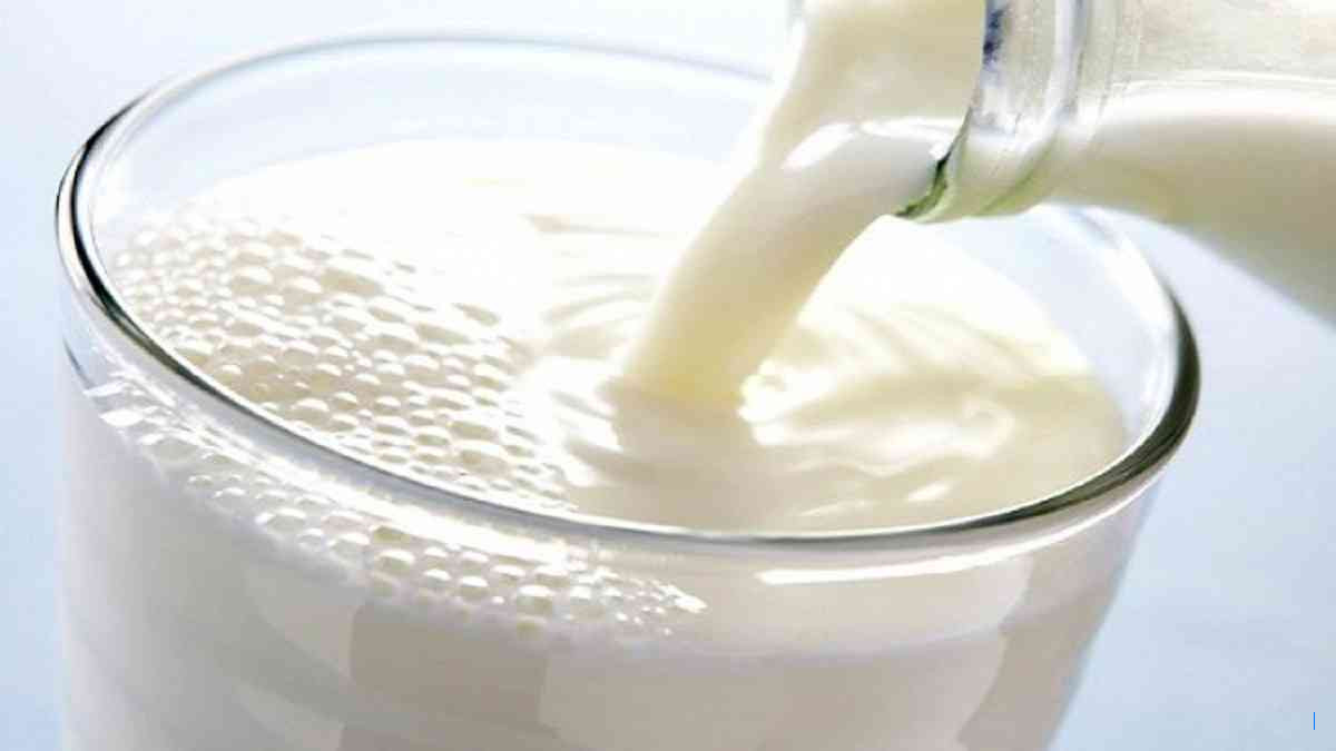 Susu Laban: Minuman Fermentasi Berkhasiat