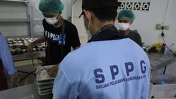 Gaji Kepala SPPG Program Makan Gratis Tembus Rp6,4 Juta! Ini Jabatan dan Tanggung Jawabnya!