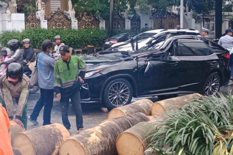 Pohon Tumbang Hancurkan Mobil Lexus, Satu Orang Tewas