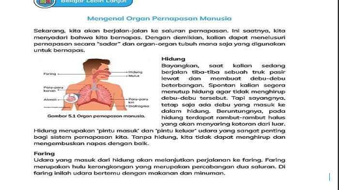 Kunci Jawaban Halaman 135 IPAS Kelas 5: Cara Manusia Bernapas