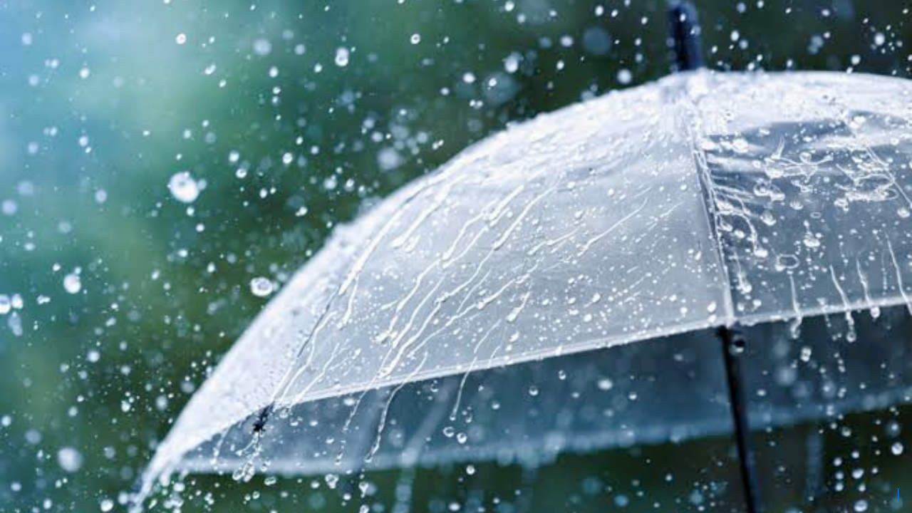 Hujan Lebat Guyur Wajo, Puluhan Kendaraan Tertimpa Pohon di Sengkang